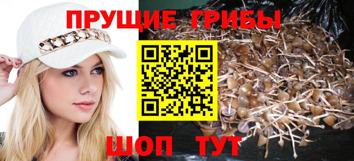 Галлюциногенные грибы Psilocybe Воскресенск
